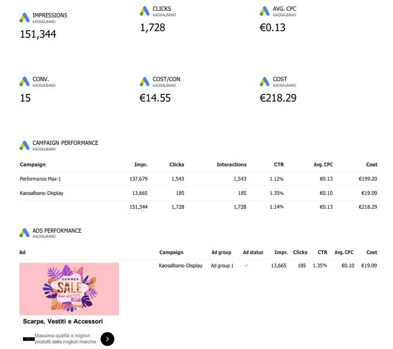 Google Ads Shopping Website Report