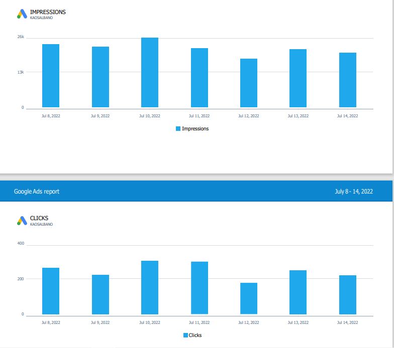 Google Ads Shopping Website Report