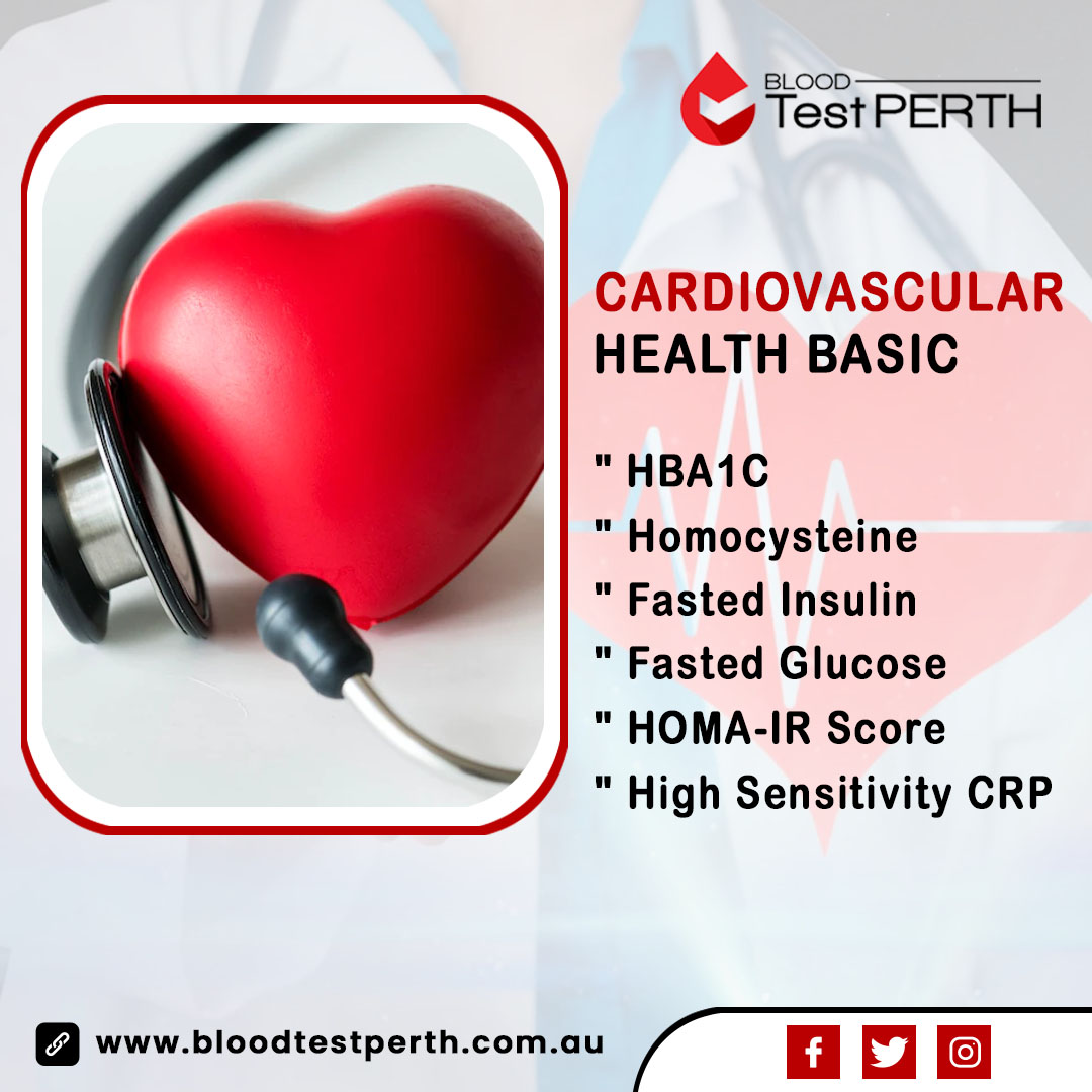 Cardiovascular Health Basic Image