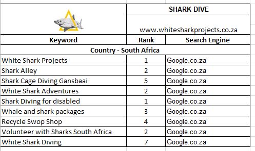 Top Rank Keywords - SHARK DIVE